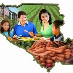 Connecting the dots...A Summit on the Importance of Farmland to Santa Clara Valley's Future Health and Well-Being