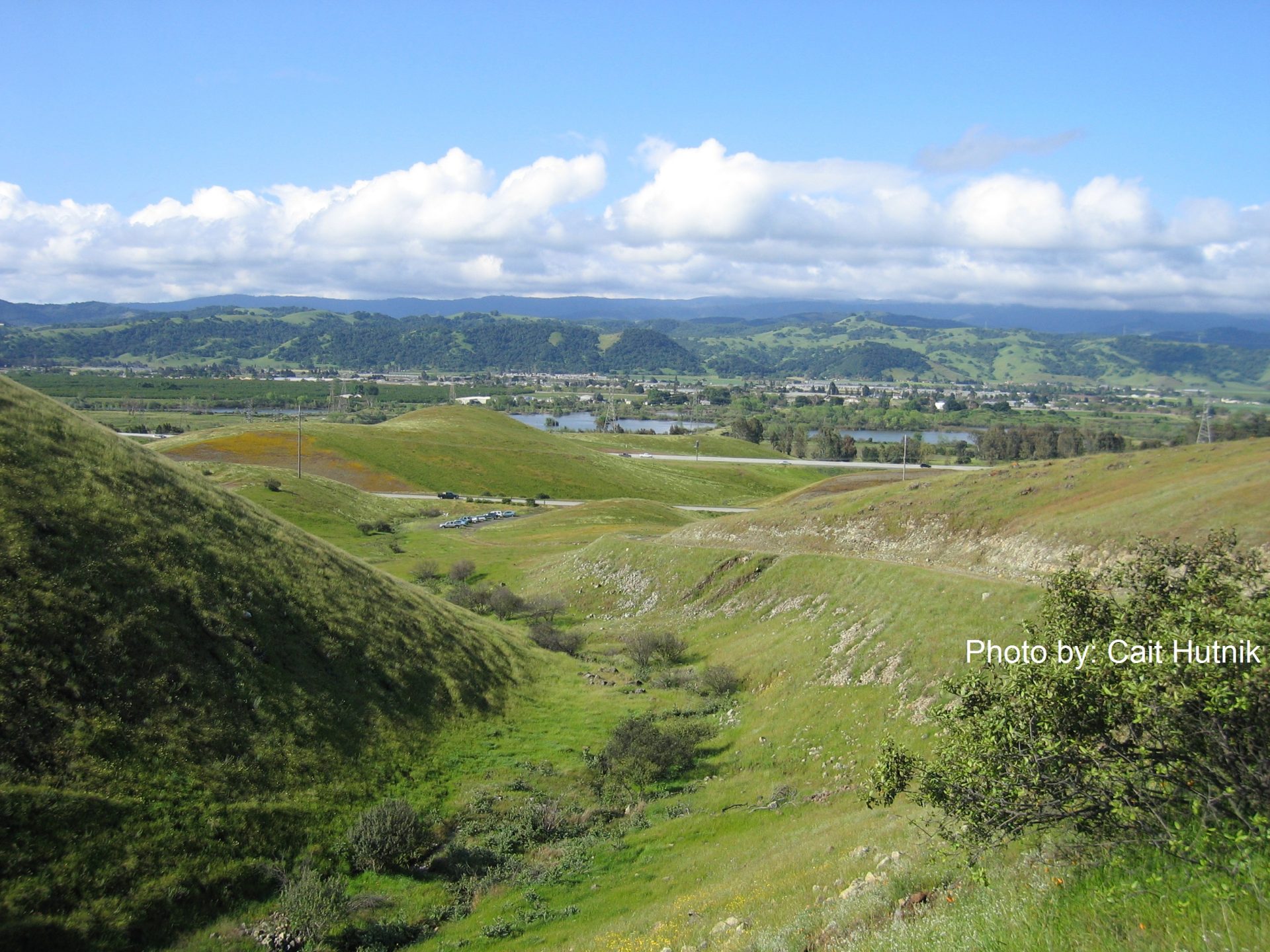 Coyote Valley from Coyote Ridge 2 – Cait Hutnik -withCredit