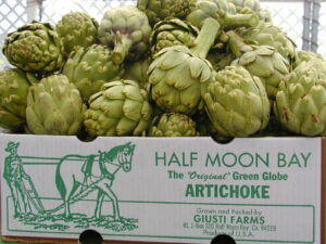 Artichokes in Box 1
