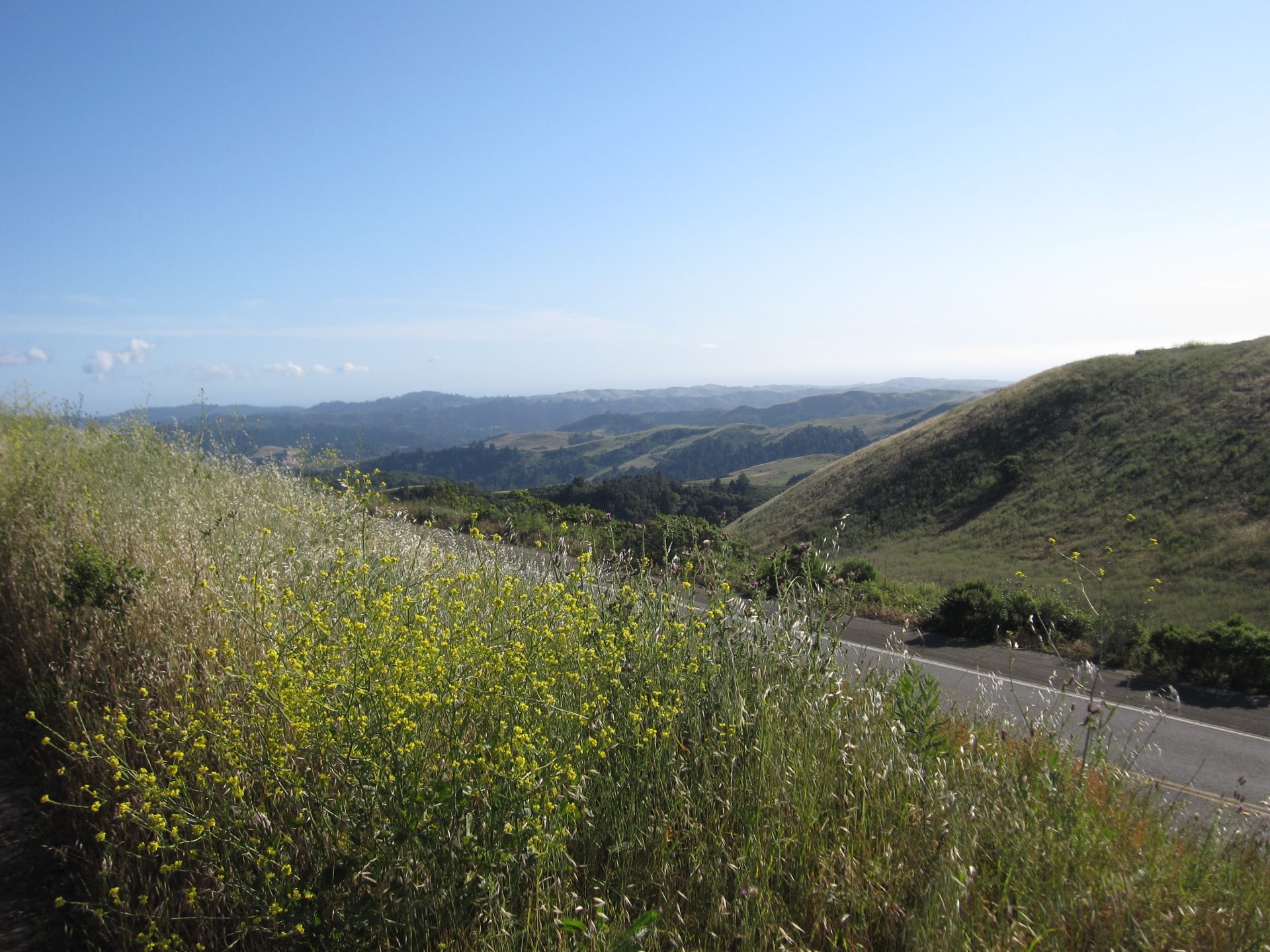 Urge Caltrans to Stop Broadcast Spraying