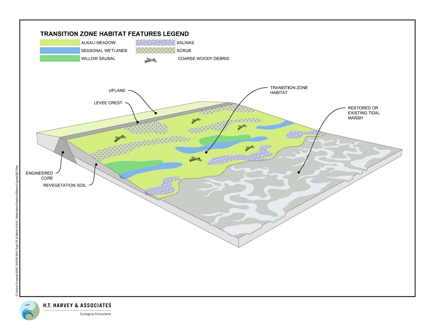 “Living Levees”: Protecting Against Sea Level Rise by Restoring Wetlands