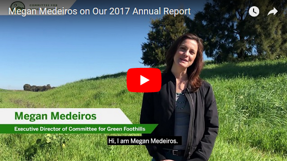 Megan Medeiros On Our 2017 Annual Report