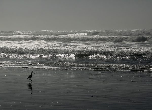 Planning for Sea Level Rise