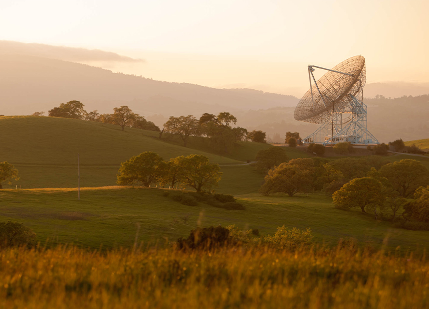Featured Image Stanford Dish