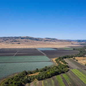Support Measure Q to Protect Agriculture and Open Space