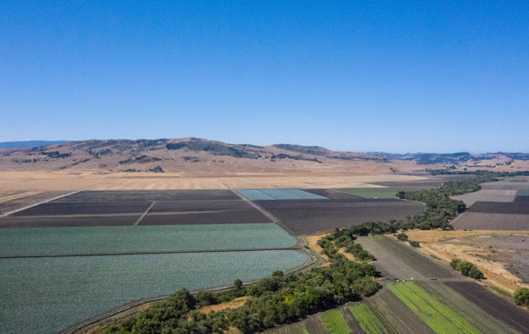 Support Measure Q to Protect Agriculture and Open Space