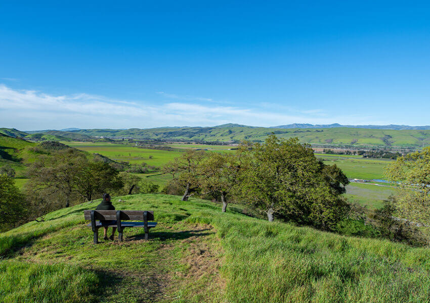 Coyote Valley hillside view