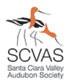 SCVAS logo