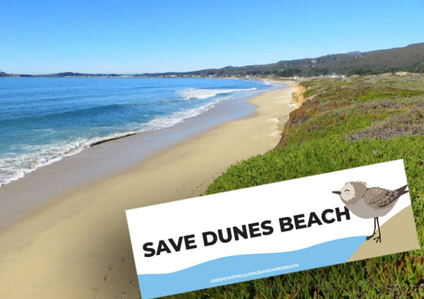 photo of Dunes Beach with "Save Dunes Beach" banner