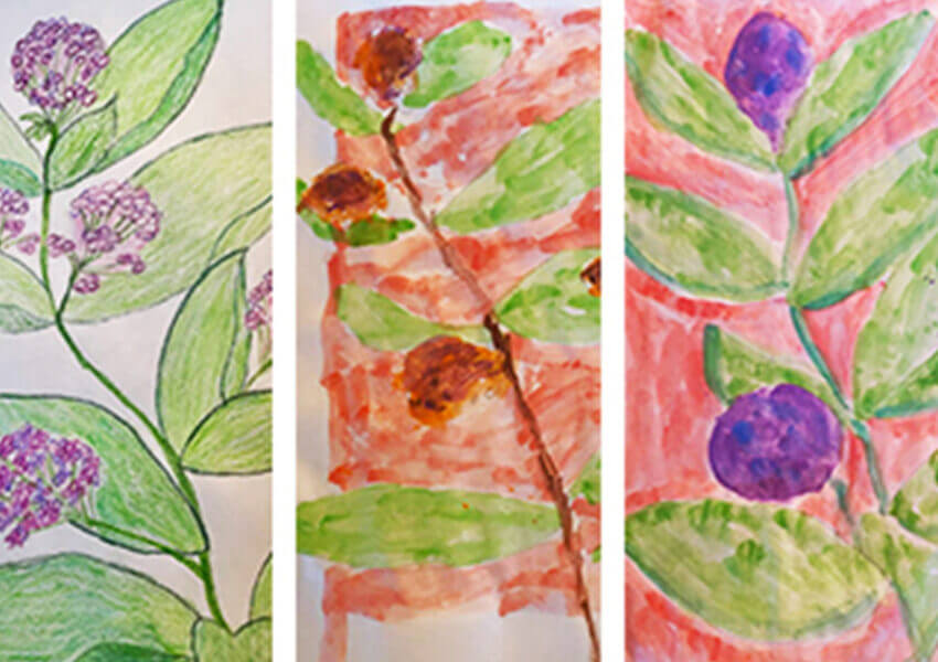 paintings of flowers