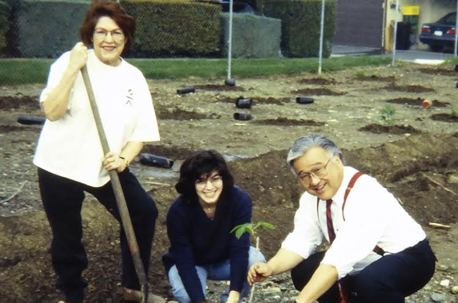 3 people planting tree