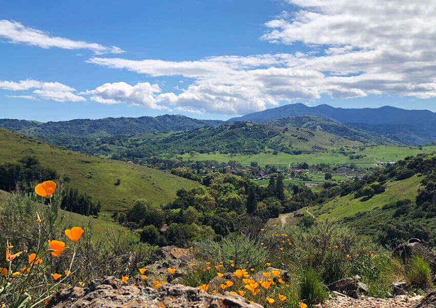 Photo in Santa Teresa County Park
