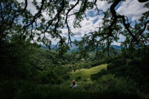 Canada del Oro Open Space Preserve