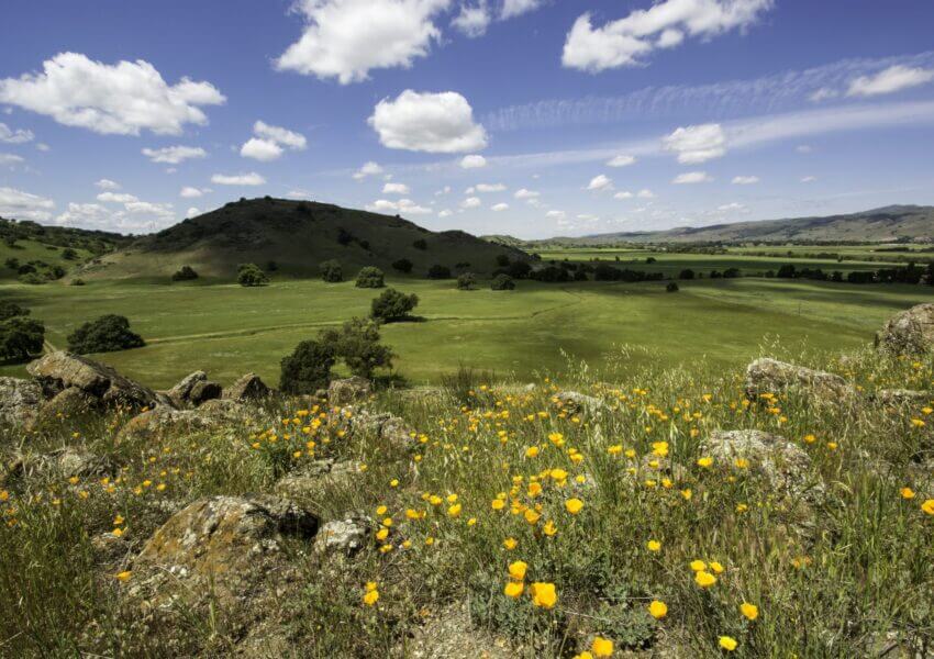 Coyote Valley in springtime