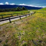 Edgewood Park trail