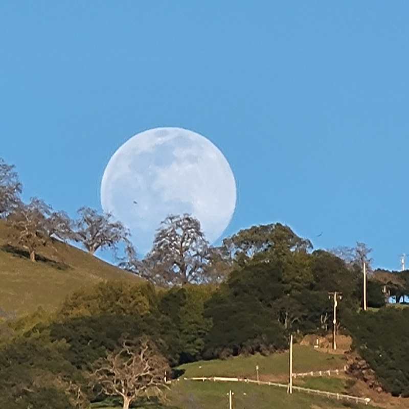 Moonrise over east foothills, Santa Clara Valley