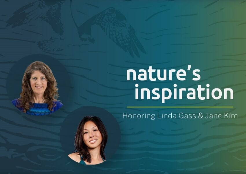 Nature's Inspiration banner
