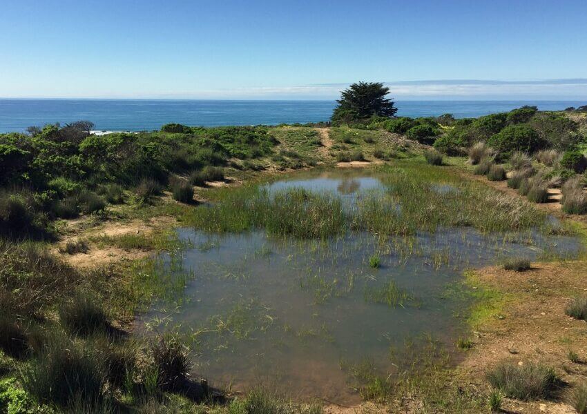 Pillar Point Bluff