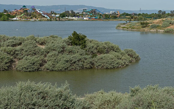 Ask San Jose to Protect Lake Cunningham’s Water Quality