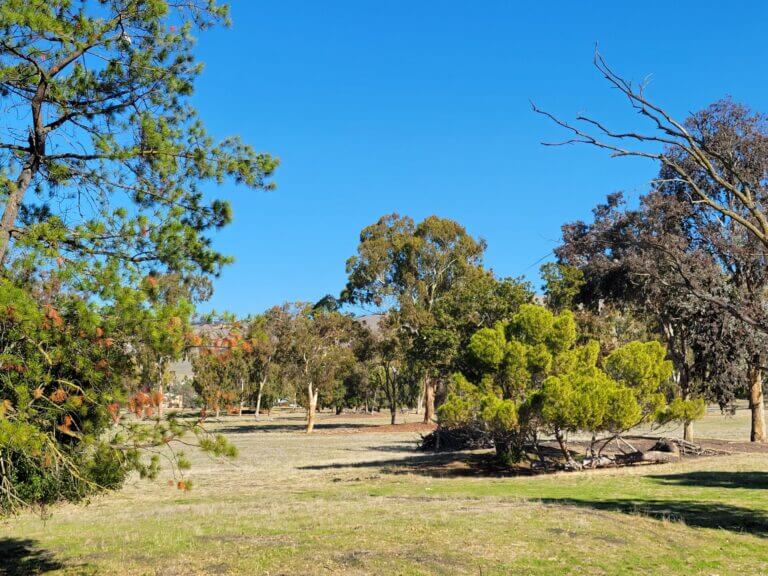 Take Action Pleasant Hills Development Green Foothills