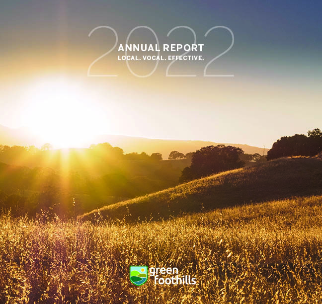 annual report cover 2022