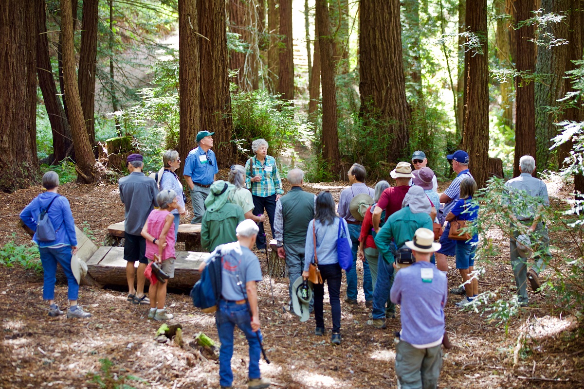 Nature's Inspiration 2019 - people standing in redwood grove