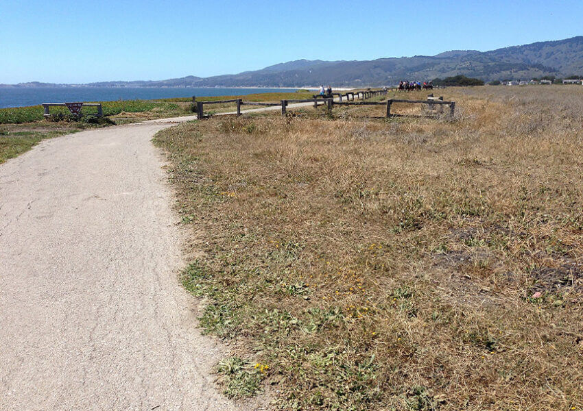 Half Moon Bay Coastal Trail