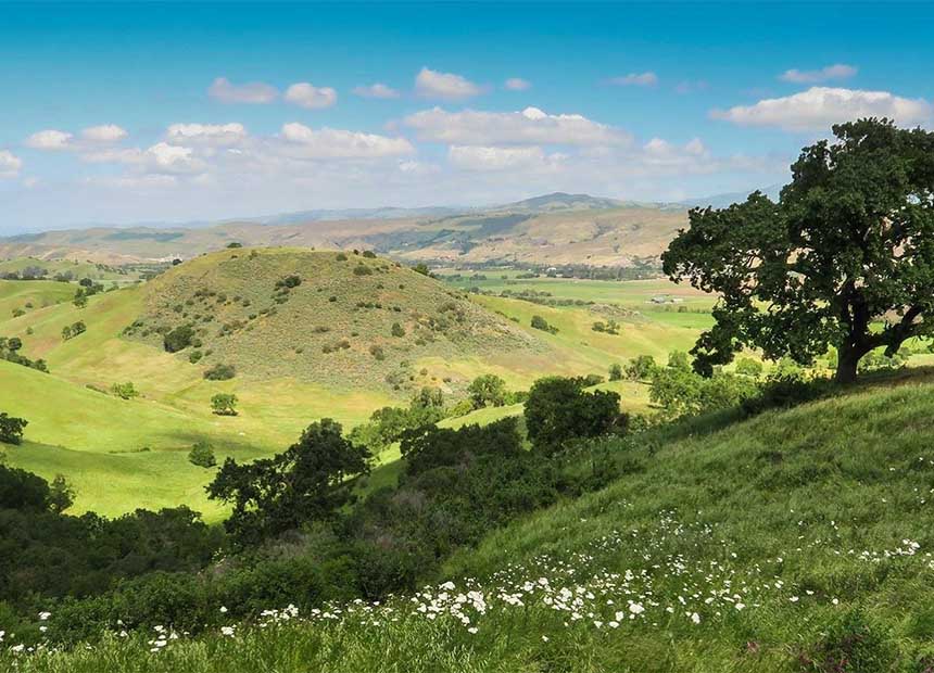 rolling hills in Coyote Valley