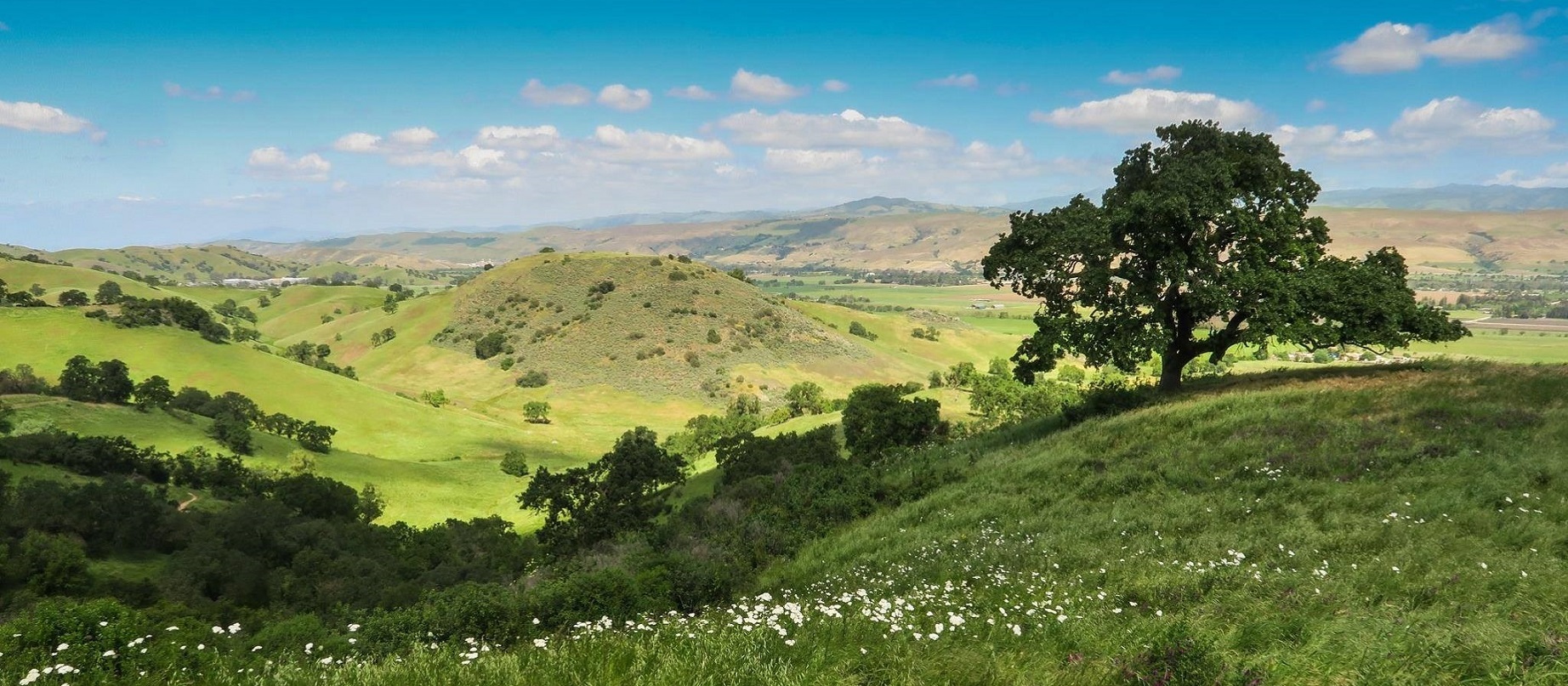 County Supervisors Support Coyote Valley Climate Overlay Zone