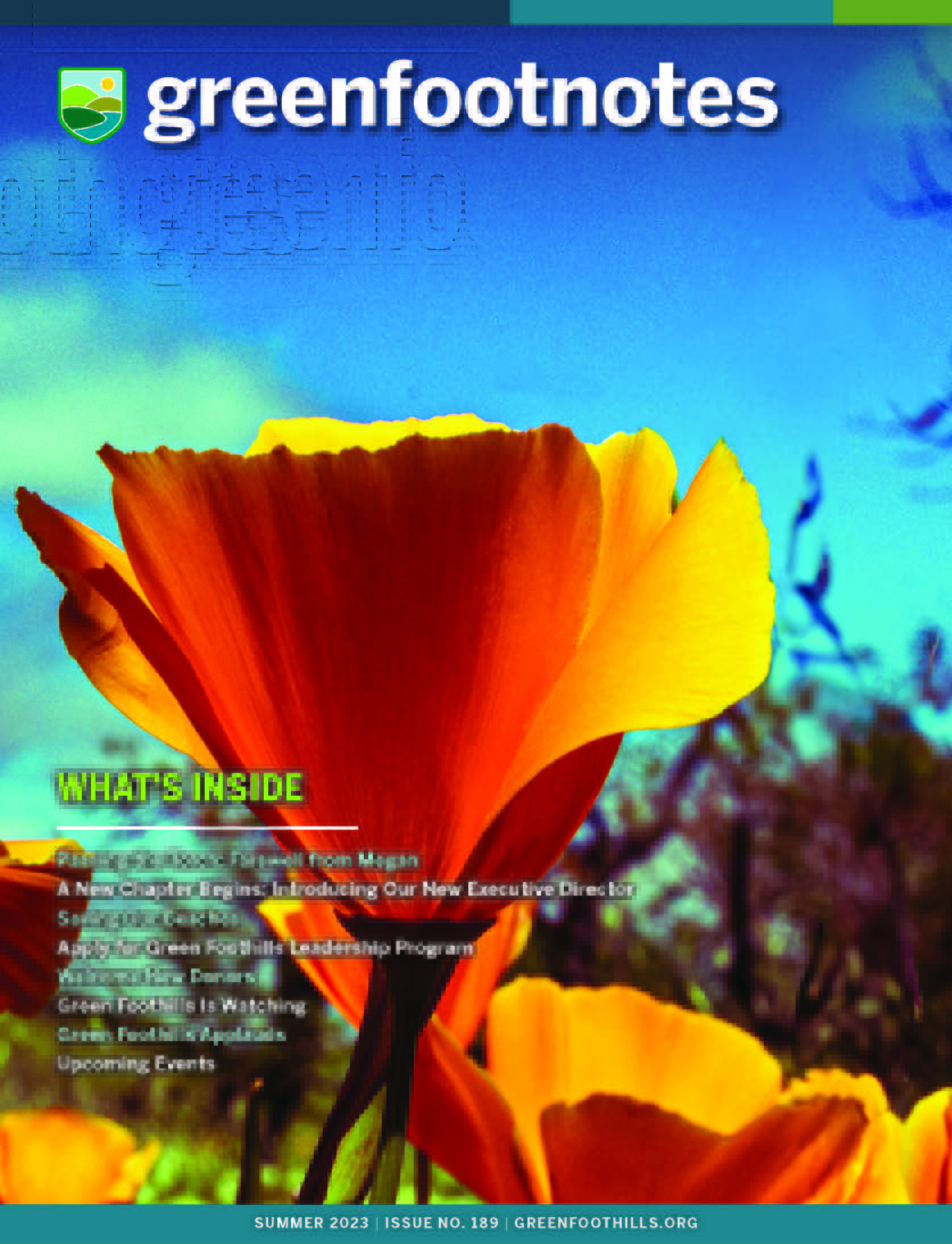 Summer Newsletter 2023 cover with image of California golden poppy