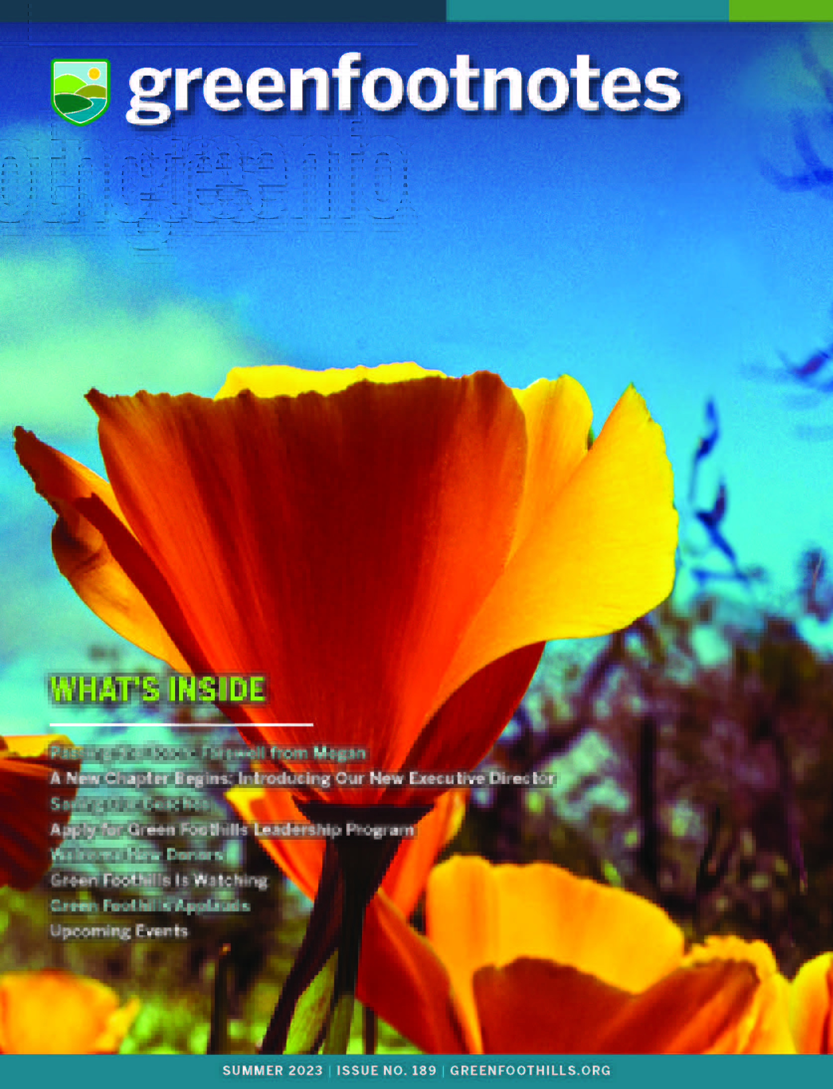 Summer Newsletter 2023 cover with image of California golden poppy