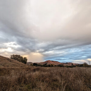 pristine landscape of grasslands in San Benito County where truck stop development is proposed