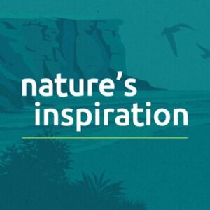 Nature's Inspiration banner with coastal theme