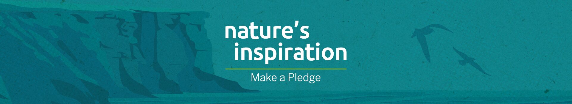 Nature's Inspiration "make a pledge" banner 2024 with background image of the coast