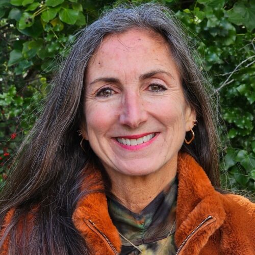 Lisa L. headshot