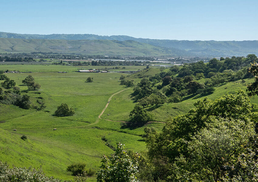 Coyote Valley, photo credit Dan Quinn