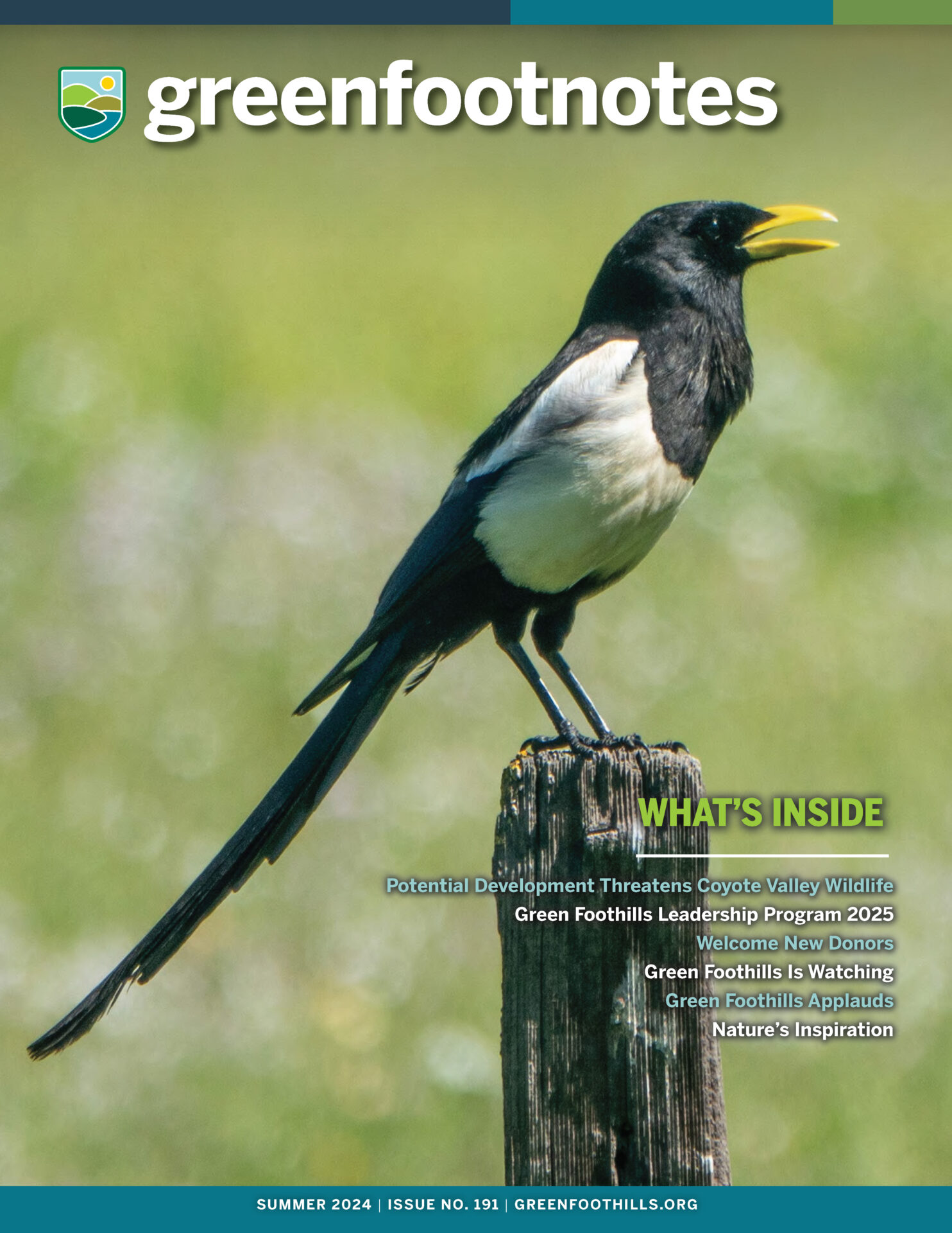 cover of Green Foothills summer newsletter 2024
