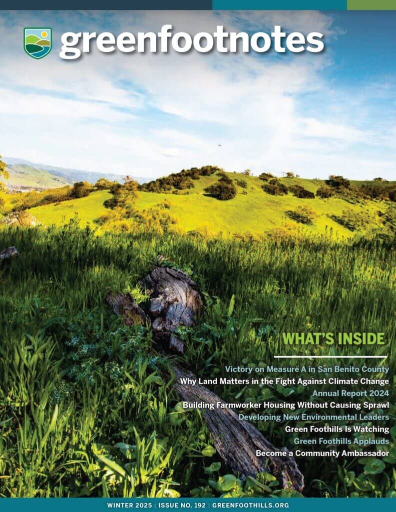 Green Foothills newsletter, winter 2025 issue, showing grass-covered hills