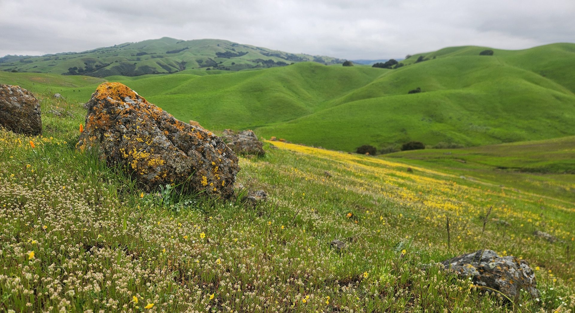 Overlook of green hills