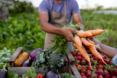 Close-up on a man selling homegrown carrots at a Farmer's Market