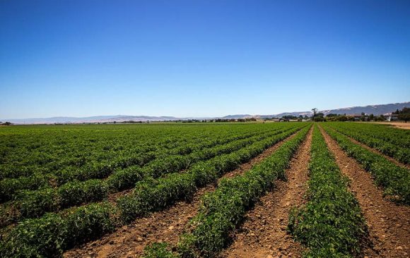 Ask Planning Commission to Keep Protecting Nature and Farmland