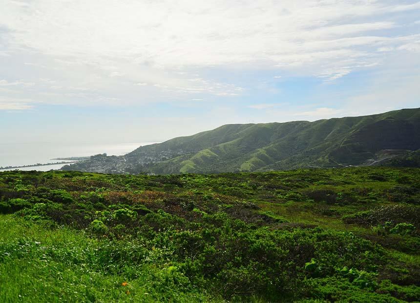 San Bruno Mountain