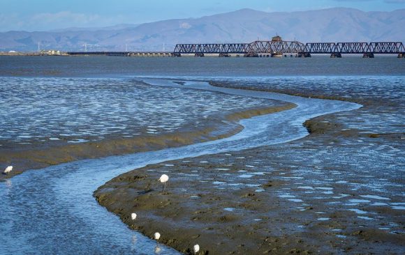Making our Shorelines SAFER