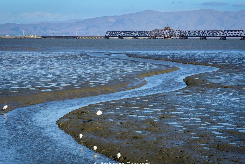 Making our Shorelines SAFER