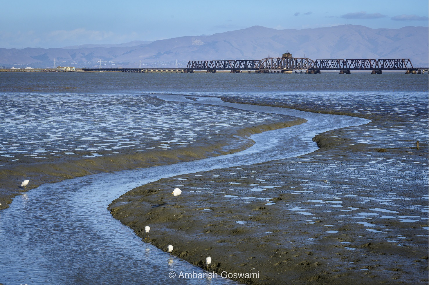 Marshlands with water leading out into the bay