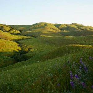 Juristac 2 by Amah Mutsun Tribal Band featured image Great News: Victory at Juristac!