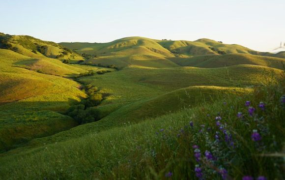 Great News: Victory at Juristac!