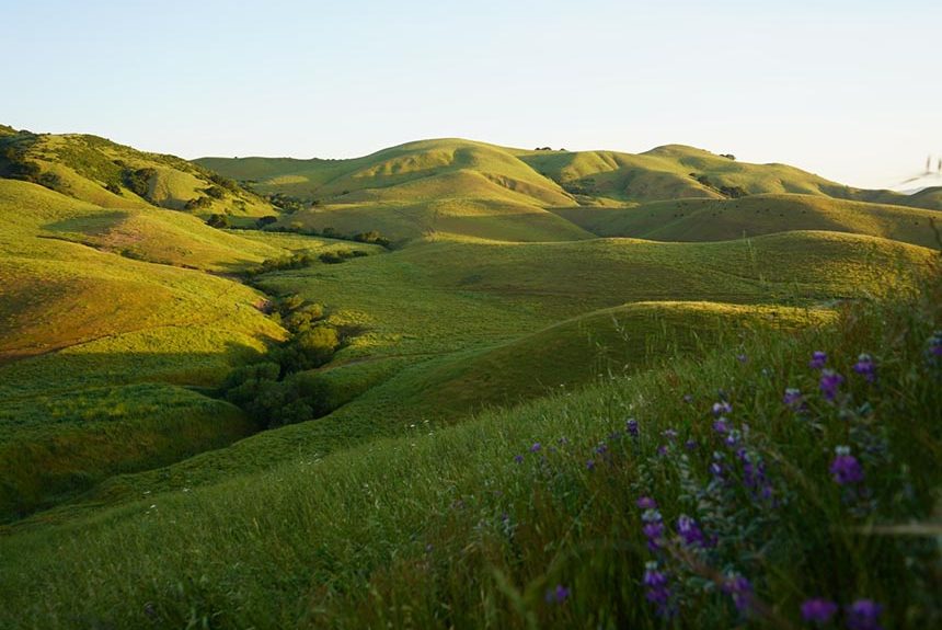 Great News: Victory at Juristac!