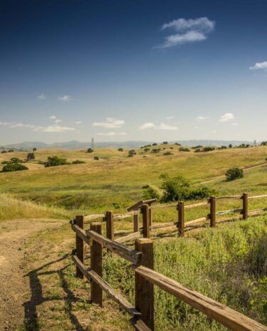 Calero Trail