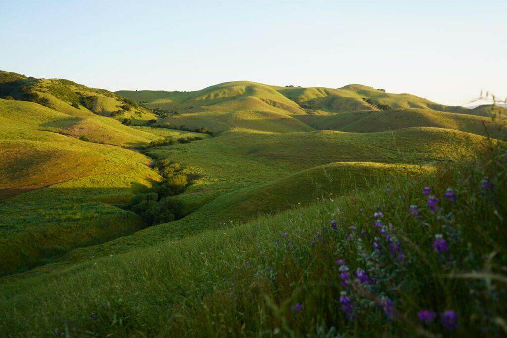 grassy hillsides and flowers at Juristac